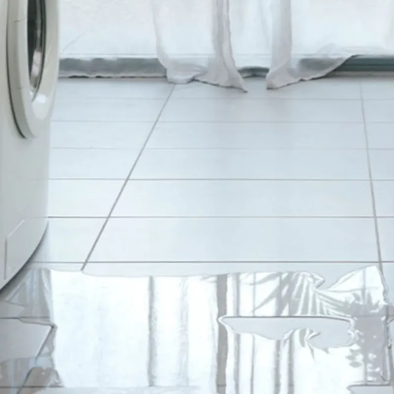 Appliance Leak Cleanup in San Miguel, CA